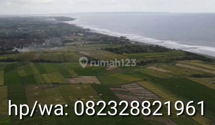 Nego, Tanah view sawah dan laut, 500 meter ke pantai 1