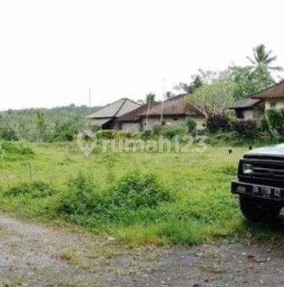 Land on the side of the road with jungle and river views, has two road access 1