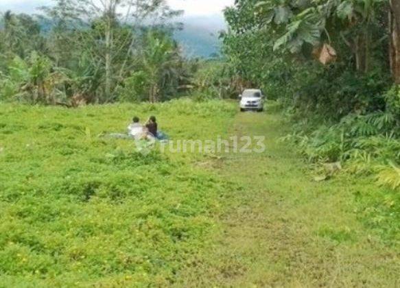 Land on the side of the road with jungle and river views, has two road access 2