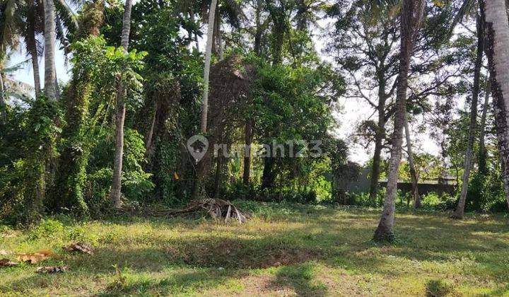 Tanah los sungai di jalan pantai pasut Tabanan, lebar depan 62 meter 1