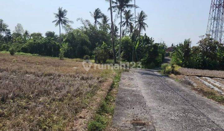 Tanah view sawah di jalan pantai kelating, akses jalan 5 meter 2