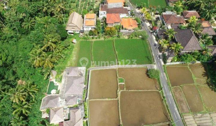 Land in a premium location near central Ubud, river area and rice field views 2