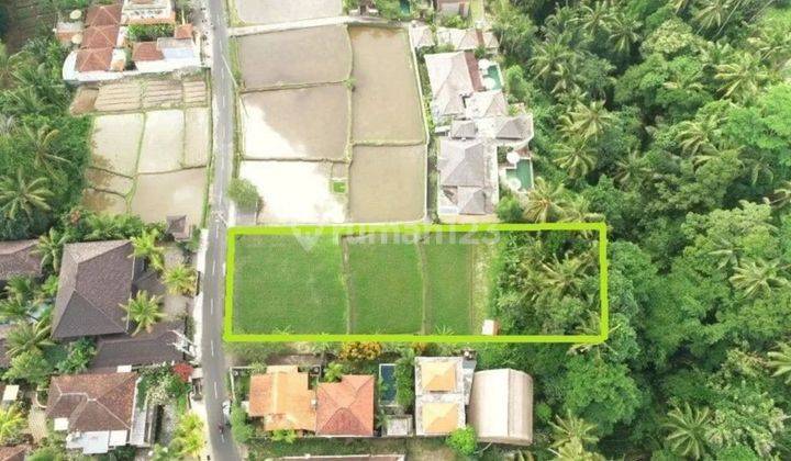 Land in a premium location near central Ubud, river area and rice field views 1