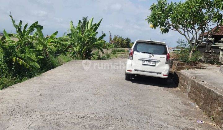 Tanah View sawah di jalan pantai kelating, akses jalan 6 meter beton 2