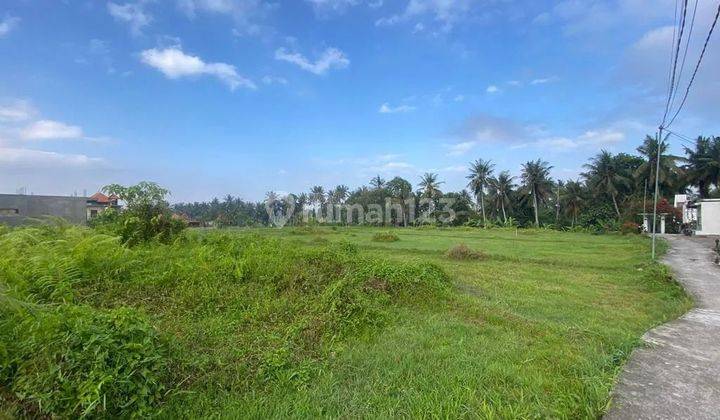 Sunset view land on the banks of the river in a luxury villa area in central Ubud 1