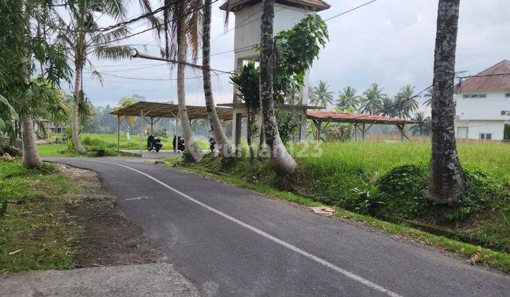 Premium land on the main road of Ubud, resort area, flat contour 1