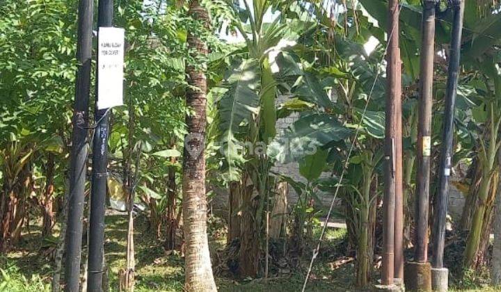 Land on the main road of Bisma Sentral Ubud, Gianyar Bali  2