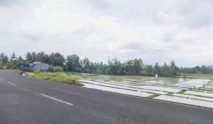 Land with full view of rice fields 200 meters to the beach, road access 10 meters in Tabanan 1