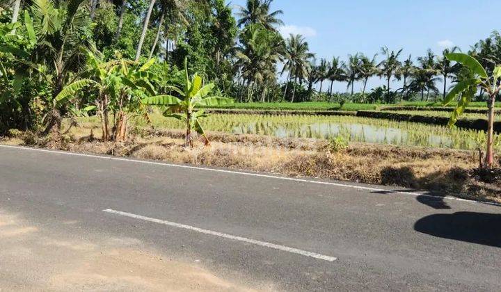 Tanah di jalan utama kebo iwa Tabanan, akses jalan 10 meter 1