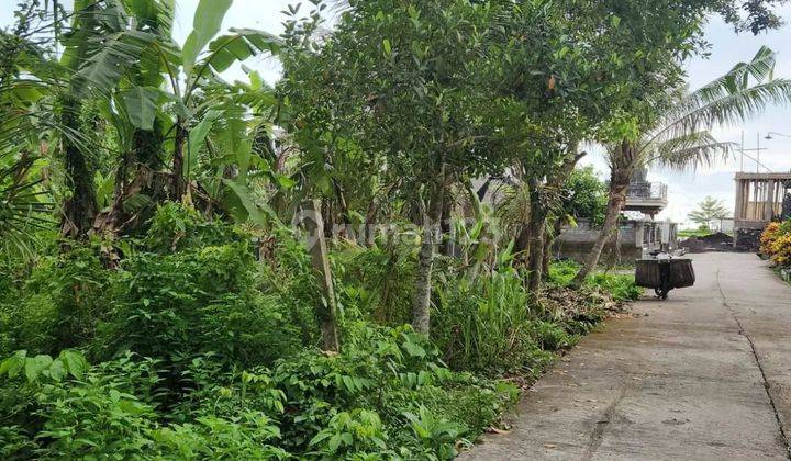 The land on the kedungu beach road has a contour of flat land with a front width of 24 meters 1