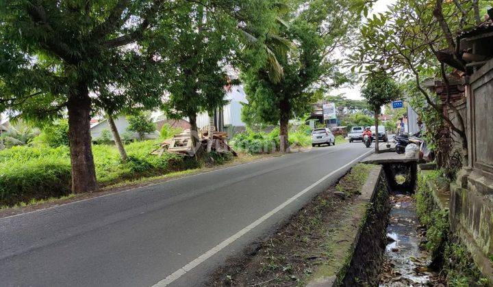 Land with a view of rice fields on Jalan Tebongkang, Ubud, flat land contours 2