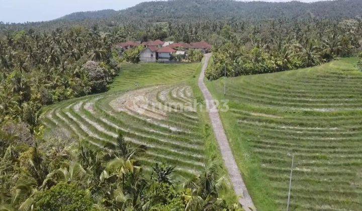 tanah full view laut abadi dan terasering sawah di Tabanan Bali  2