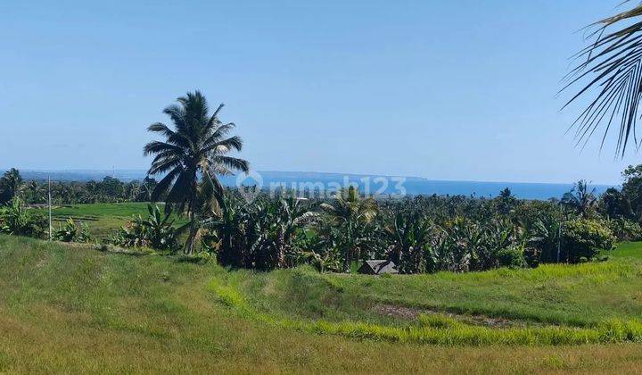 tanah full view laut abadi dan terasering sawah di Tabanan Bali  1