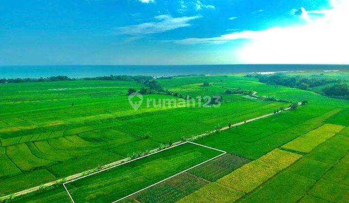 Tanah view laut dan hamparan sawah di jalan pantai kelating 2