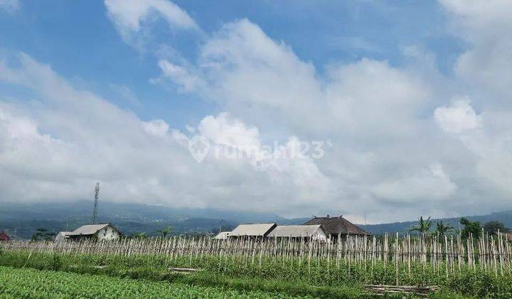 Tanah view hamparan sawah di desa mayungan Bedugul 2