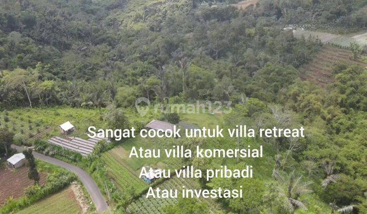 Tanah super view gunung dan terasering sawah di bedugul 2