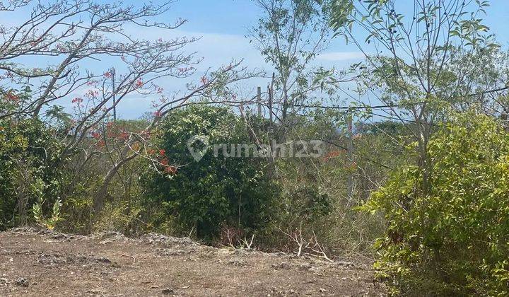 Land with full sea view on the Karang Pandawa highway, road access 5 meters 1