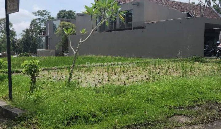 Tanah view sawah di jalan tegallalang Ubud, akses jalan 6 meter aspal 1