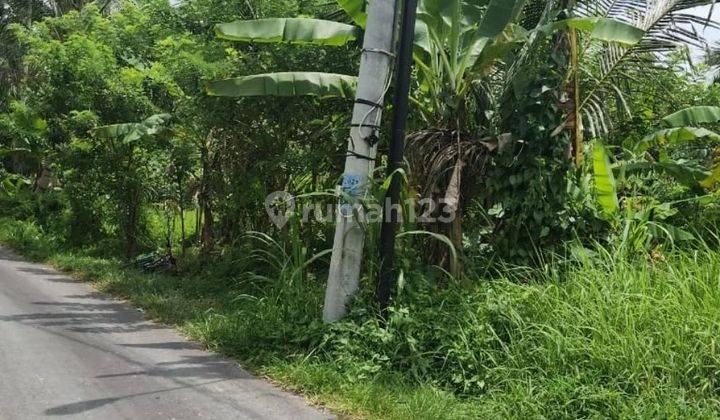 Tanah view sawah di jalan tegallalang Ubud, akses jalan 6 meter aspal 2