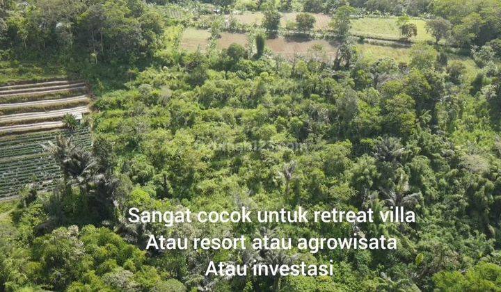 land full view of jungle, sunset and mountains in Bedugul 1