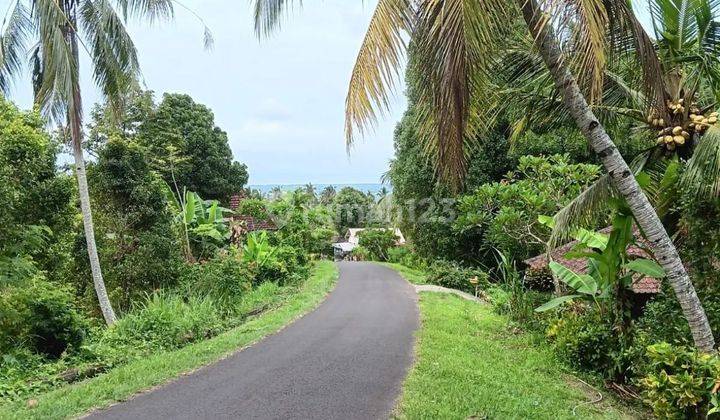 Land with sea and jungle views in Jembrana, in the form of Ngantong land 2