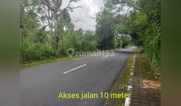 Tanah View Jungle Di Jalan Utama Pelaga Akses Jalan 10 Meter 1
