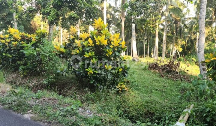 Land in Selemadeg, 10 meters to the surfing beach, flat contour.