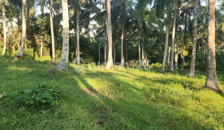 Land in Selemadeg, 10 meters to the surfing beach, flat contour.