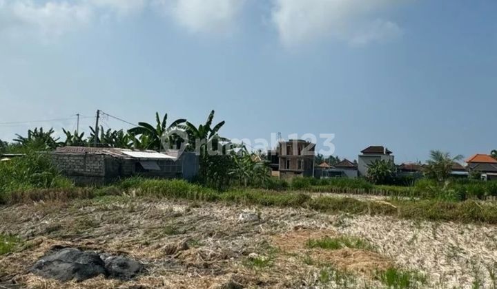 Land with rice field view in Gianyar, road access 4 meters