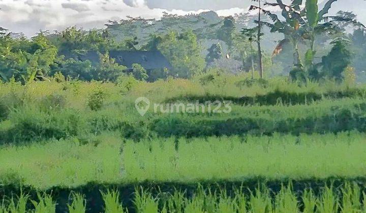 Tanah premium los sungai view sawah, gunung, lembah dan bukit di Karangasem 1