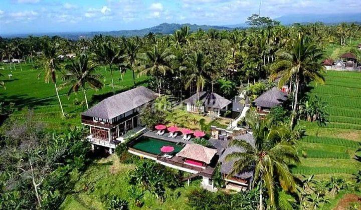 Luxury 4 star Villa, Los cliffs in Ubud, views of rice fields and mountains 1