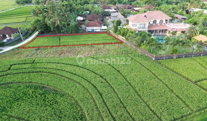 Land with a view of rice terraces on Pasut Beach Road, Tabanan 2