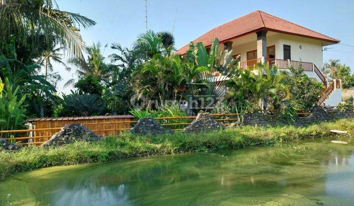 Nego, Villa view jungle dan sawah di Gianyar, Halaman luas 1