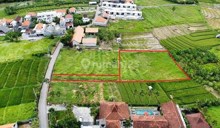 Tanah kawasan villa mewah di Canggu, Akses jalan privat 3 meter 2