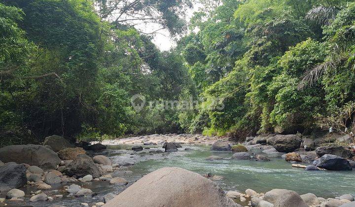 Land with full view of rice fields and riverbanks in Tabanan 2