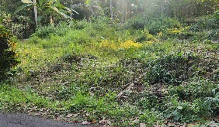 Cheap, small land in Tabanan suitable for private or commercial villas 1