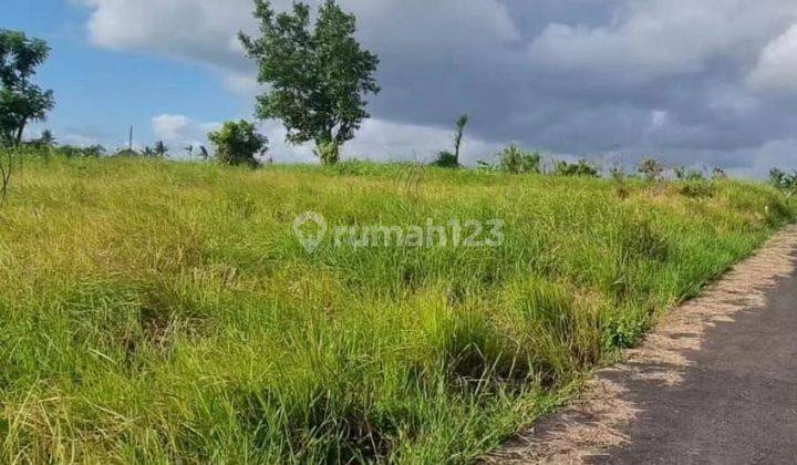 Land with rice field view, 300 meters to the beach in Canggu, Square shape 2