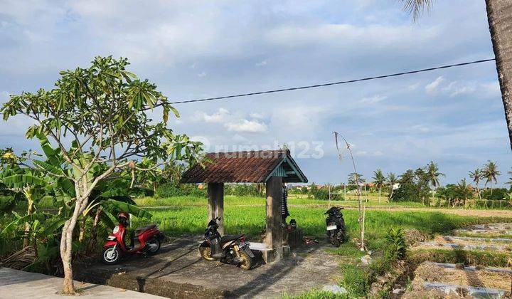 Land on the main beach road near Canggu, 750 meters to the beach 2