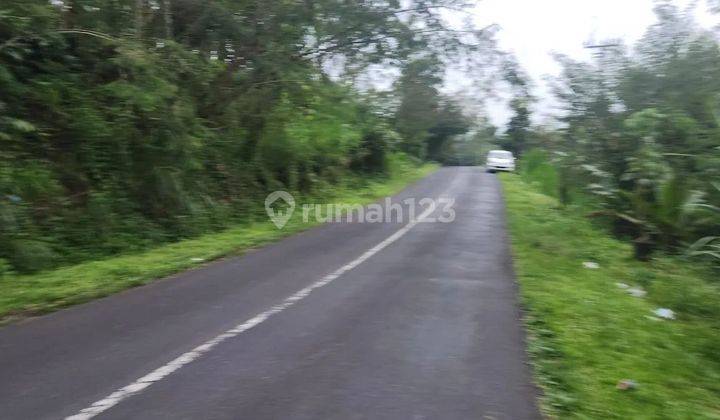 Tanah view tebing dan jungle di jalan utama pelaga, Badung 1