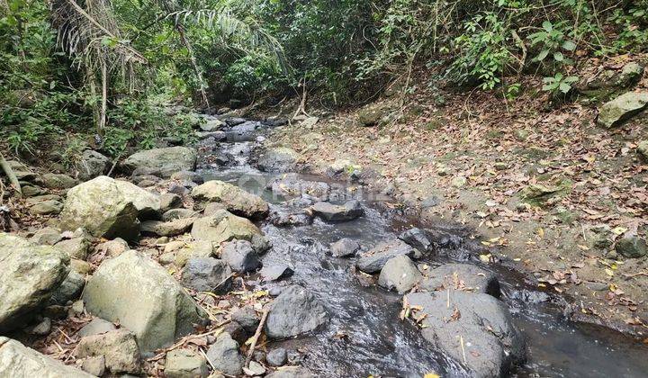 River los land in Tabanan, 7 meter road access 2