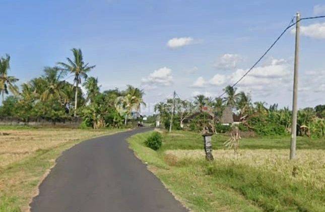 Nego, Tanah view hamparan sawah, akses jalan 7 meter aspal 1