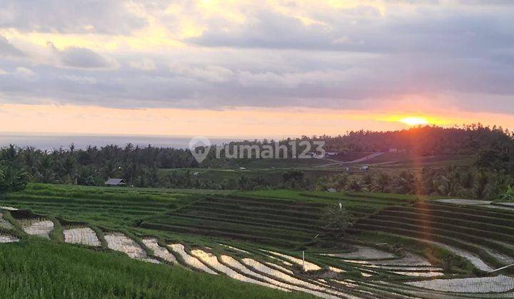 Tanah full view laut dan terasering sawah di Tabanan 1