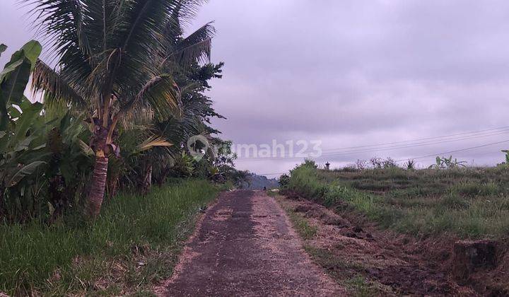 Tanah full view laut dan terasering sawah di Tabanan 2