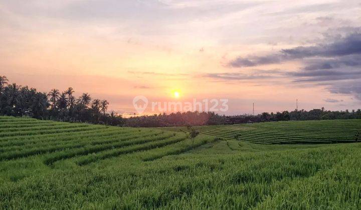 Tanah 750 meter ke pantai di Tabanan view Sunset, Gunung, Sawah 1