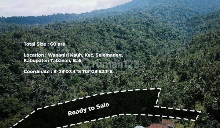 Tanah view gunung dan hamparan sawah di Tabanan, menghadap timur 2