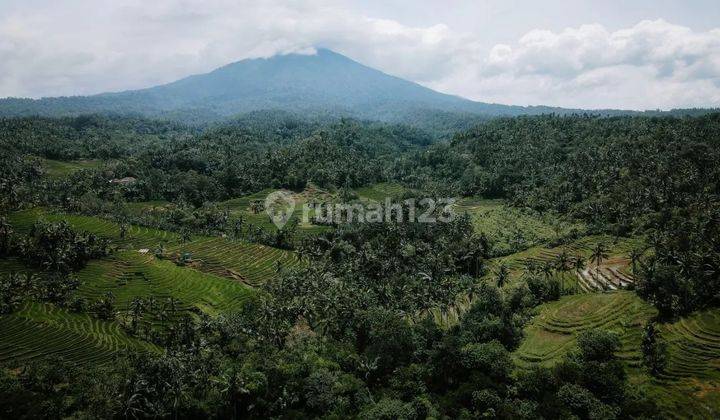 Tanah view gunung dan hamparan sawah di Tabanan, menghadap timur 1