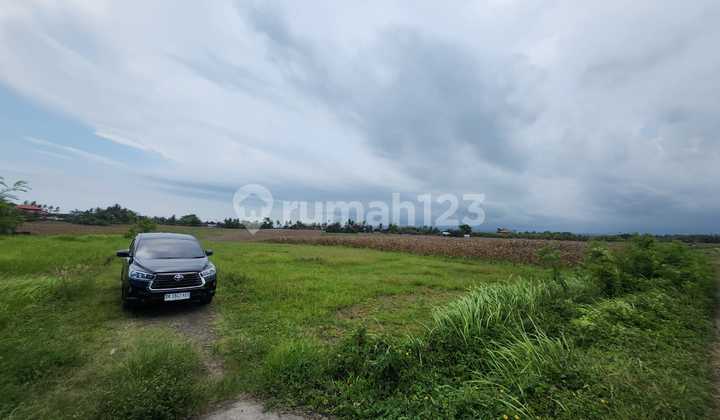Rare Land with Full Views of Rice Fields and Sea in Kelecung Tabanan Rare Land with Full Views of Rice Fields and Sea in Kelecung Tabanan