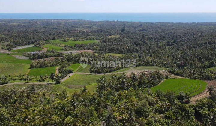 Tanah 3000m² View Laut & Sawah Abadi Di Tabanan Bali 11