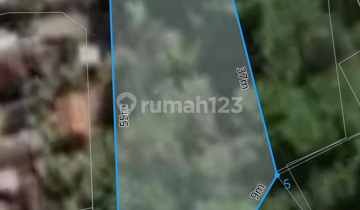 Tanah Murah Di Sentral Ubud Dekat Restoran Dan Fasilitas Umum Tanah Murah Di Sentral Ubud Dekat Restoran Dan Fasilitas Umum