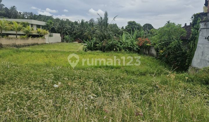 Tanah Luas Kawasan Villa Mewah Pejeng Kawan Ubud